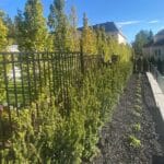 Aluminum Backyard Fence